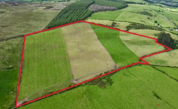 32.10 acres of Agricultural land at Clashavougha Newcastle  Ballinamult Co Tipperary